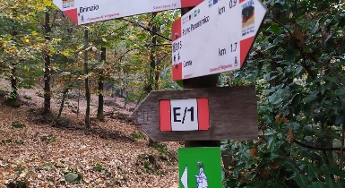 In cammino tra Medioevo e Modernità